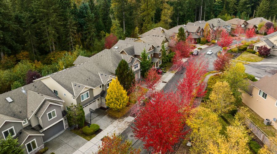 overhead view of street during fall